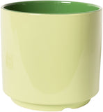 Bloempot met schotel - groen/roze - 12 cm