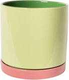 Bloempot met schotel - groen/roze - 12 cm